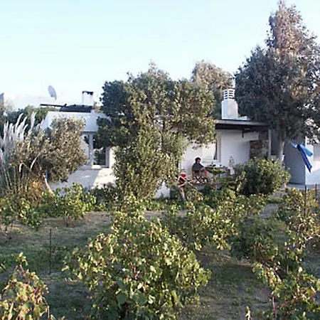 Tsanakou Vineyard Glinado Holiday home Mesochorion (Evrytania)
